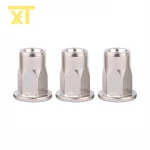 Premium Grade Factory Supplier Hexagon Flat Head Rivet Nut for Electronic & Machine