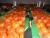 Import Premium Quality Wholesale cheap Price Fresh Yellow Onion from France