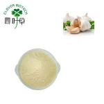Professional chinese garlic/black garlic extract powder
