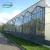 Import Professional Design Low Cost Customized Agricultural Glass Greenhouse from China