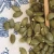 Import Promotional top quality organic pumpkin seeds kernels from China