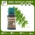 Import Pure and Organic Neem Oil at Low Price from India