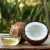 Import Pure Fractionated Coconut Oil Carrier Oil from China