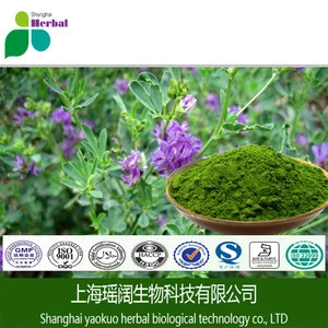 Pure natural animal feed powder,alfalfa powder,alfalfa raw powder for animal feed extract