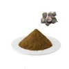 Pure Natural Maca Root Extract Powder as Herbal Tea