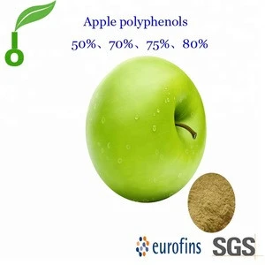 Pyrus malus (apple) fruit extract 40% 80% 90% 98% phlorizin