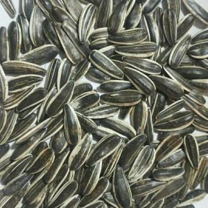 Raw/Roasted salted Sunflower Seeds with different flavor (walnut, date, coco nut, caramel, etc)