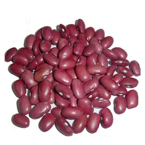 red kidney beans pinto beans sugar beans
