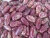 Import RED SUGAR BEANS from South Africa