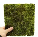 roasted yaki sushi nori laver seaweed HACCP KOSHER HALAL ISO certified