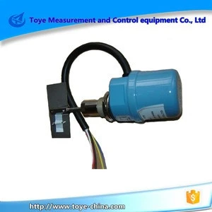 rotating paddle type level switch in Level Measuring Instruments
