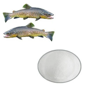 Salmon Fish Powder Collagen and Collagen Peptid for Pharmaceutical Material