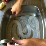Sausage Casings