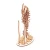 Import Sea horse wooden puzzle 3d toy 2020 hot selling cartoon sea animal model puzzle for Kids Christmas  gifts souvenirs from China