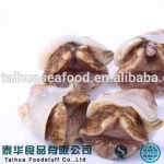 Seafood for Sale Conch Whelk Frozen Seafood Price