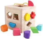 Shape Sorter Toy My First Wooden 12 Building Blocks Geometry Learning Matching Sorting Gifts Didactic Classic Toys for Toddlers