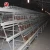 Import Silver star a type automatic chicken egg layer cages steel poulailler from China