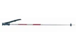SKi Pole