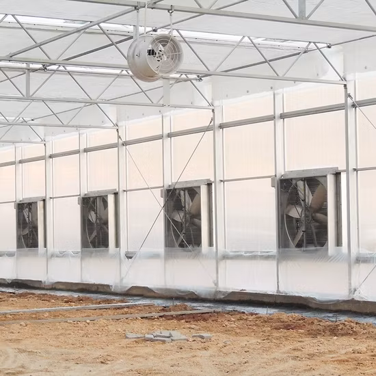 Agricultural Greenhouses Stainless Steel Pad Fan Cooling System