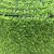Sports Plastic Soccer Field Carpet Gym artificial turf grass with low prices
