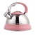 Stainless Steel Whistling Tea Water Kettle with Color Coating