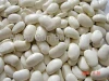 Supply white kidney beans and other beans ukraine