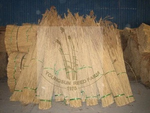 thatching roof reed material