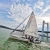 Import The cheapest sailboat on sale is 8m long Heimsman H80 sailing ship from China