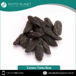 Tonka Bean