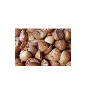 Top A Grade Low Price Betel Nuts