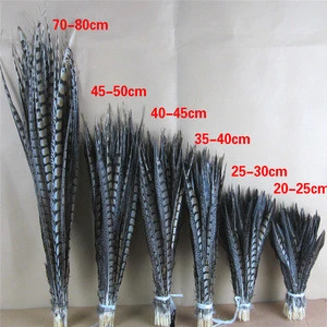 Top quality natural colors lady amherst pheasant feathers for sale