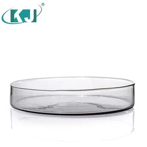 Transparent round 90mm glass petri dish with culture