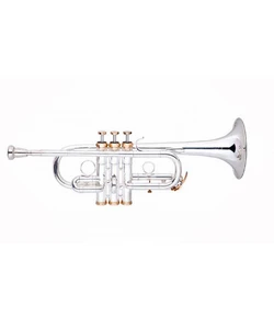 Trumpet, Brass instrument