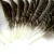 Import turkey wing quill feather from China