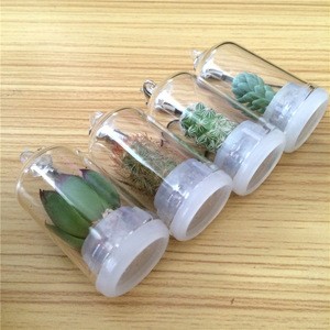 UCHOME free shipping 2019 Mix style pet plant with real cactus