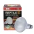 Import UV Mercury Vapor Reptile Bulb 80W R95 uva uvb light and heat lamp for turtles from China
