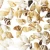 Import Various Sizes Natural Mixed Ocean Beach Seashells Sea Shells from China