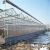 Import Venlo PC Sheet  Greenhouse for Agriculture  Greenhouse Planting  for hot sale from China