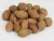 Import VIETNAM MALVA NUTS / STERCULIA LYCHNOPHORA/ BOAT STERCULIA SEED from Vietnam