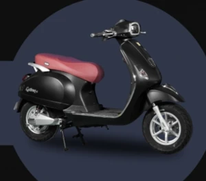 Vietnam Wholesales Electric Motorcycle Adult 800W LATINA S - Female Attractive Classy Design - High Quality - High Speed
