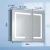 Import Wall Mount LED Lighted Bathroom Medicine Cabinet with Mirror and Electrical Outlet from China