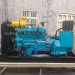 waste to energy generador electricidad biogas mw