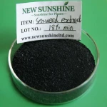Water soluble powder seaweed extract in agriculture