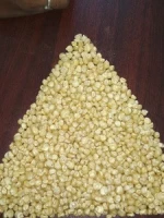White Corn