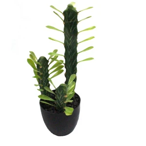 Wholesale Artificial Decoration cactus Coffee thorn fairy column potted Ornamental plants