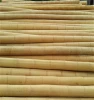 wholesale bamboo raw materials bamboo poles prices
