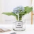 Import Wholesale customized  cheap round clear glass flower plant vase from China