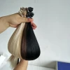 Wholesale Grade Best Quality Remy Fan Tip Hair Extensions