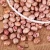 Import wholesale Light Speckled Kidney beans (LSKB) Pinto beans/Sugar beans from Brazil