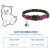 Import Wholesale Luxury Breakaway  Protective Cat Collar With Bell and Safety Buckle Cat Pet Collars from China
